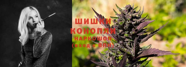 ешки Инсар