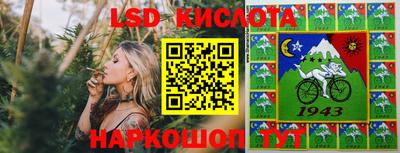 кокс Кингисепп