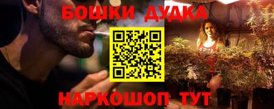 кокс Кингисепп