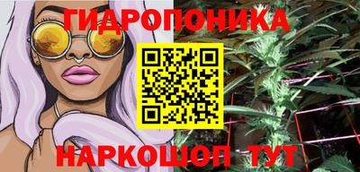 кокс Кингисепп
