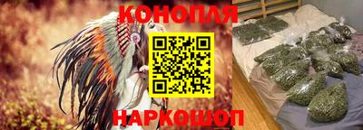 кокс Кингисепп