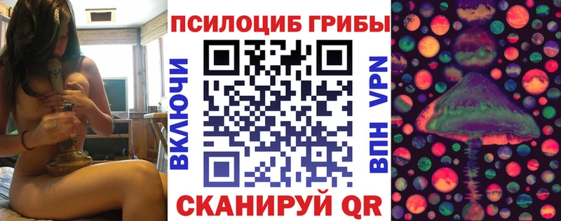 Галлюциногенные грибы мицелий  Курчалой 