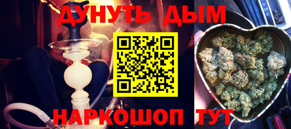 Бошки Шишки Курчалой